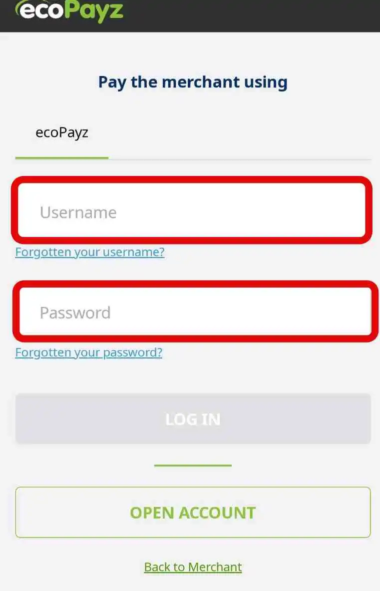 GGPoker(GGポーカー)　入金　ecoPayz 2
