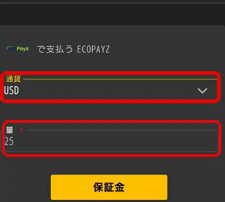 GGPoker(GGポーカー)　入金　ecoPayz 　1